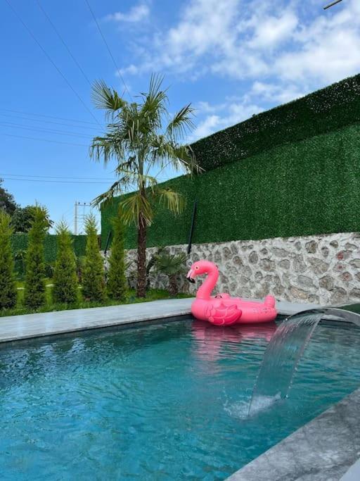 Shino Sapanca'Da Sicak Havuzlu Tatil Keyfi! Villa Dış mekan fotoğraf